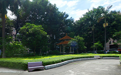歷史沿革（概）校史
