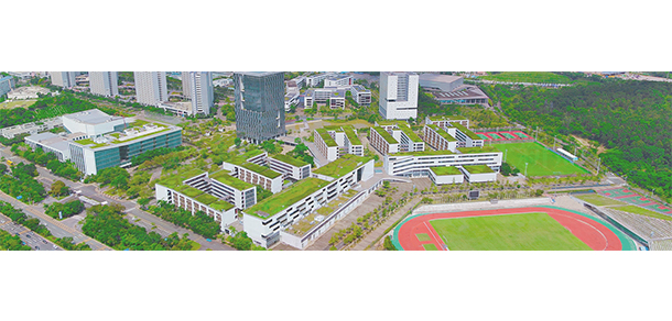 我的大學(xué)-大學(xué)志
