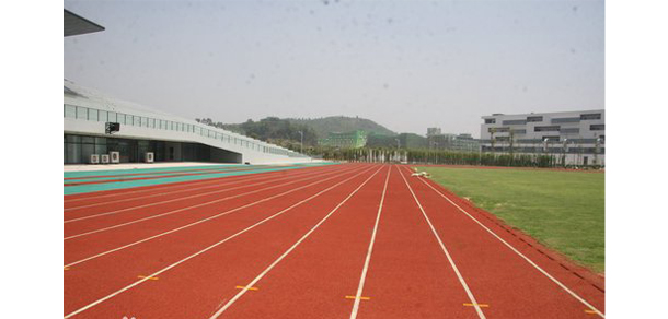 我的大學(xué)-大學(xué)志