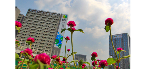 我的大學(xué)-大學(xué)志