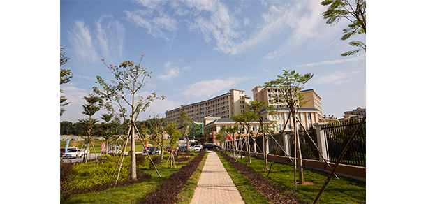我的大學(xué)-大學(xué)志