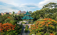 招生公告 · 招生簡(jiǎn)章 · 招生計(jì)劃