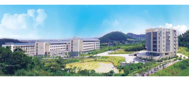我的大學(xué)-大學(xué)志