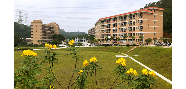 我的大學-大學志