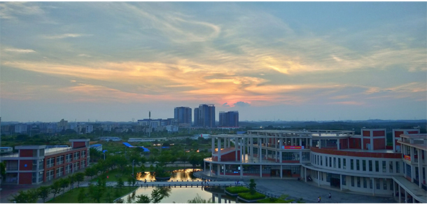 我的大學-大學志