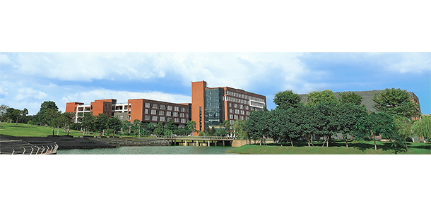 我的大學(xué)-大學(xué)志
