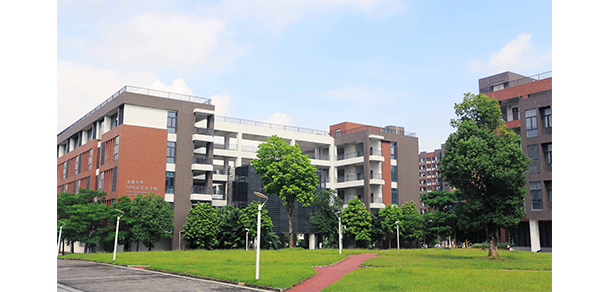 我的大學(xué)-大學(xué)志