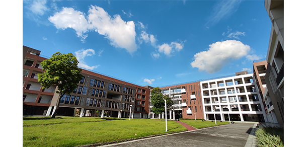 我的大學(xué)-大學(xué)志
