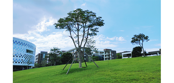 我的大學(xué)-大學(xué)志