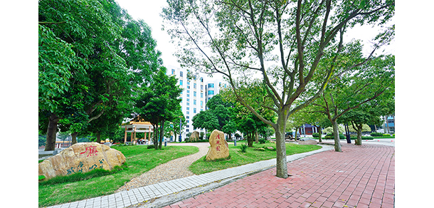 我的大學(xué)-大學(xué)志