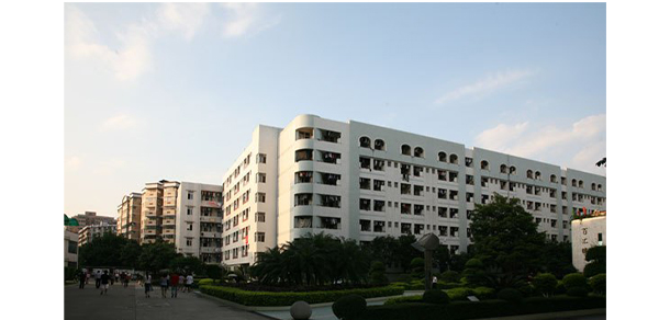 我的大學(xué)-大學(xué)志