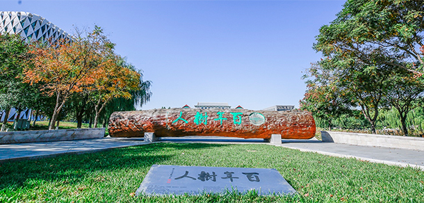 我的大學(xué)-大學(xué)志