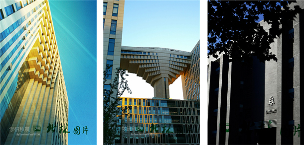 北京林業(yè)大學