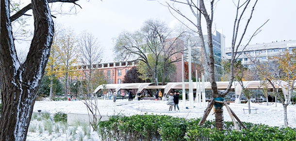 北京林業(yè)大學