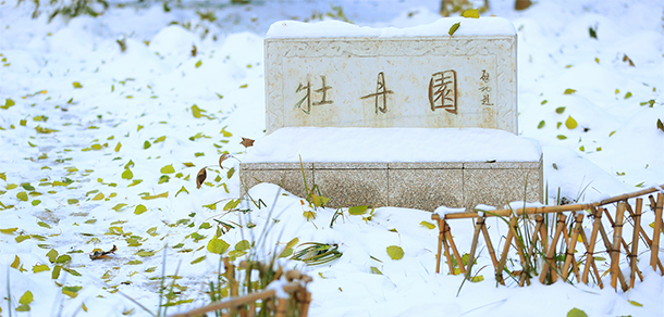 2021年招生分?jǐn)?shù)
