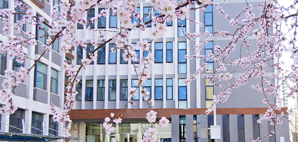 中央財經(jīng)大學