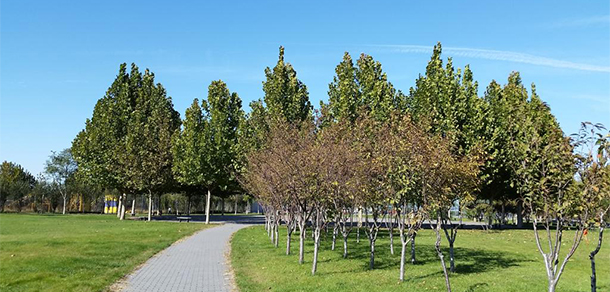 北京物資學院