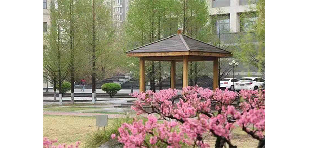 2021年招生分?jǐn)?shù)