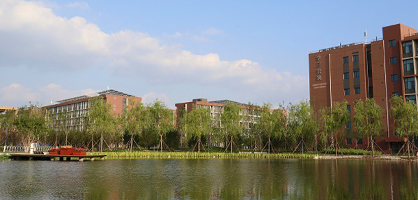 我的大學(xué)-大學(xué)志
