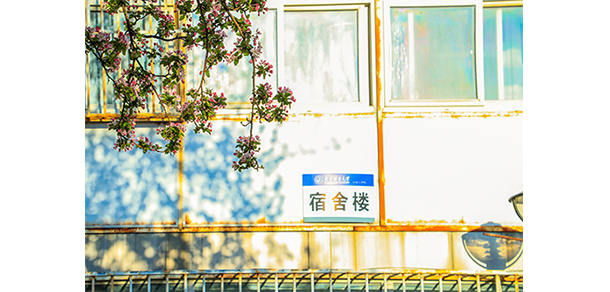 我的大學(xué)-大學(xué)志