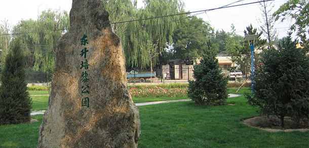 我的大學(xué)-大學(xué)志