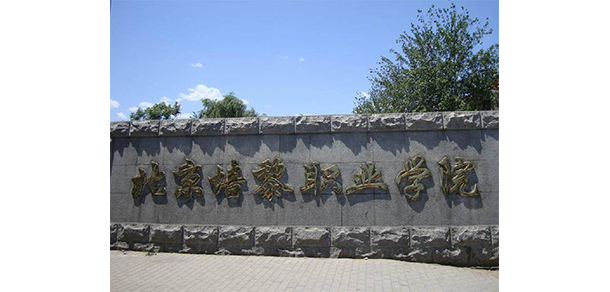 我的大學(xué)-大學(xué)志