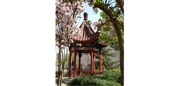 我的大學(xué)-大學(xué)志