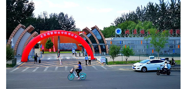 我的大學(xué)-大學(xué)志