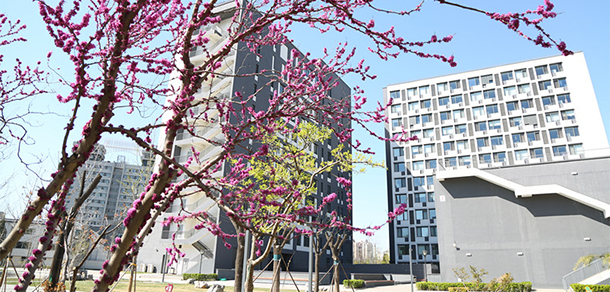 我的大學-大學志