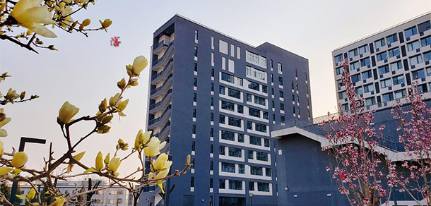 我的大學-大學志