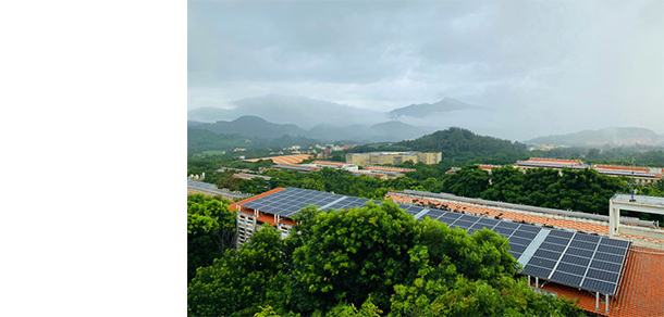 我的大學(xué)-大學(xué)志