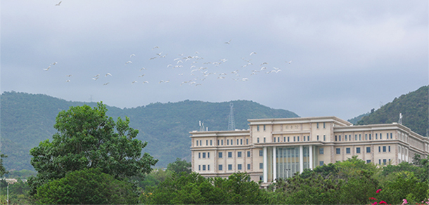 我的大學(xué)-大學(xué)志