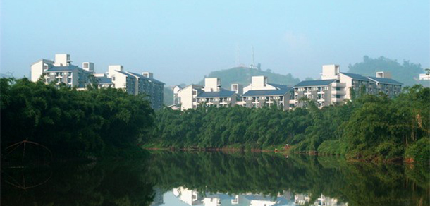 我的大學(xué)-大學(xué)志