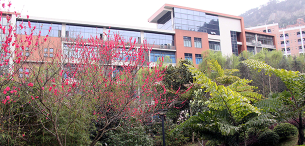 我的大學(xué)-大學(xué)志