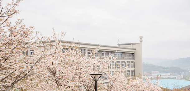 我的大學-大學志