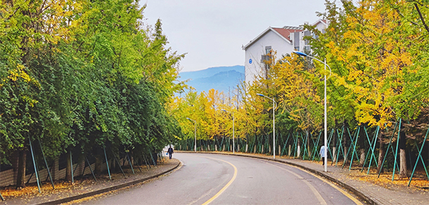 我的大學(xué)-大學(xué)志