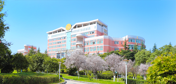 我的大學(xué)-大學(xué)志