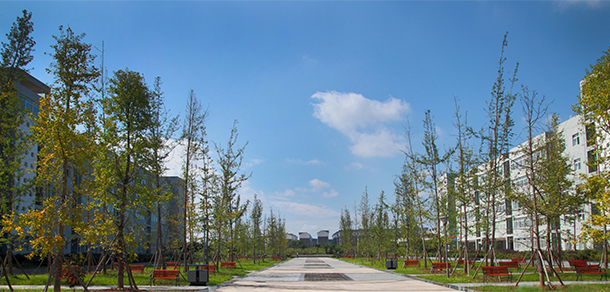 我的大學-大學志