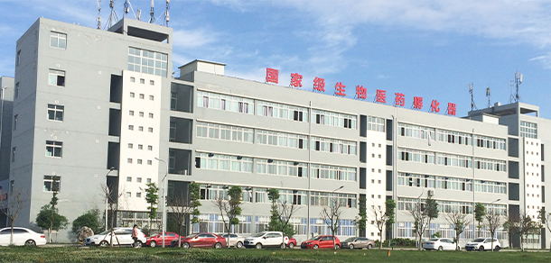 我的大學-大學志