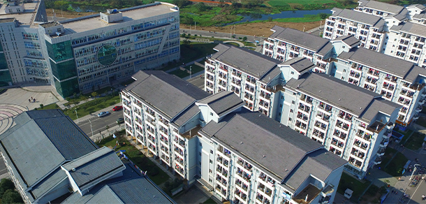 我的大學-大學志