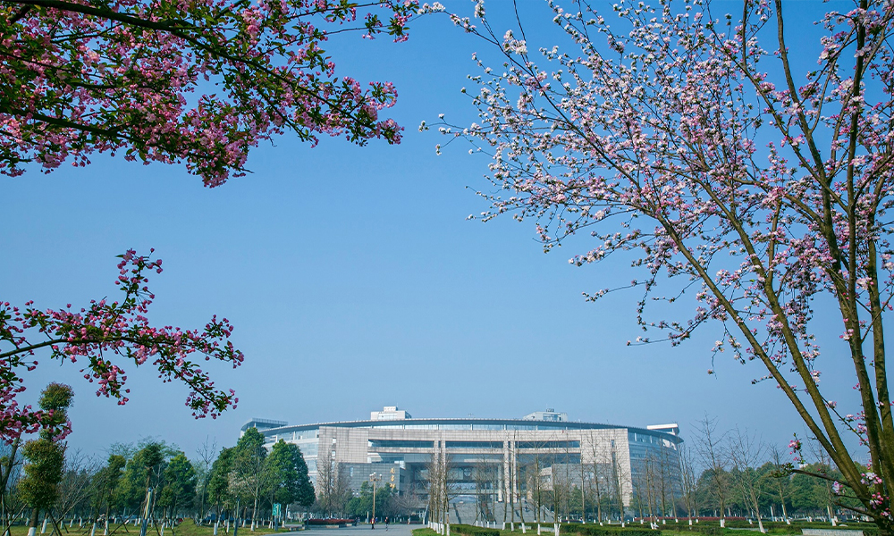 中國最美大學(xué)
