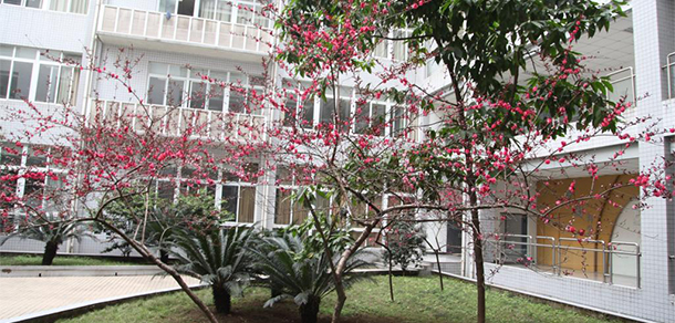我的大學-大學志
