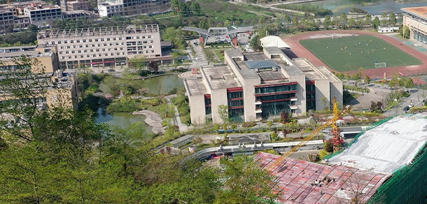 我的大學(xué)-大學(xué)志