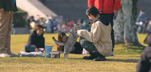 2021年招生分?jǐn)?shù)