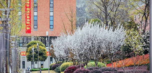 西南交通大學希望學院 - 最美大學