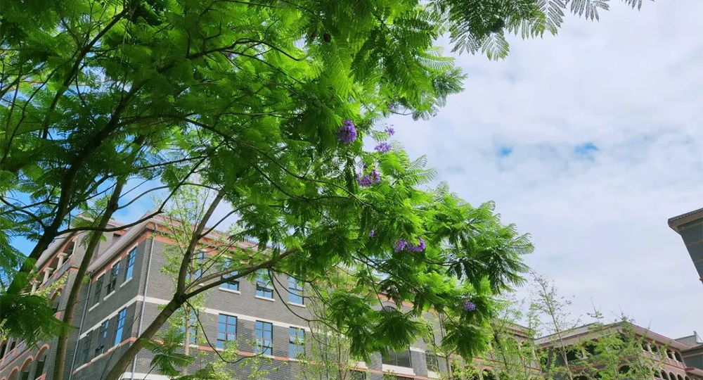 時(shí)光匆匆，歲月如歌！——珍惜自己最美好的時(shí)光，珍惜時(shí)下，放肆而不張揚(yáng)的青春年華。