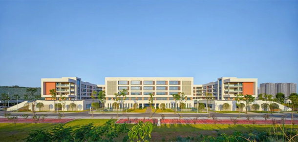 我的大學(xué)-大學(xué)志