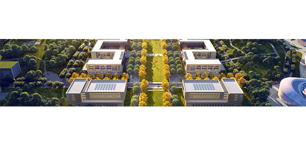我的大學(xué)-大學(xué)志