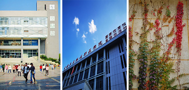 2022年招生分?jǐn)?shù)