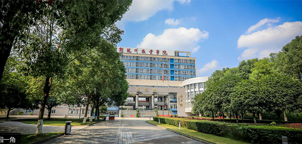 大學(xué)校志：校名、校標、校訓(xùn)、校徽、校旗、校歌